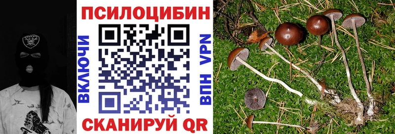 Псилоцибиновые грибы ЛСД  наркота  Ардатов 